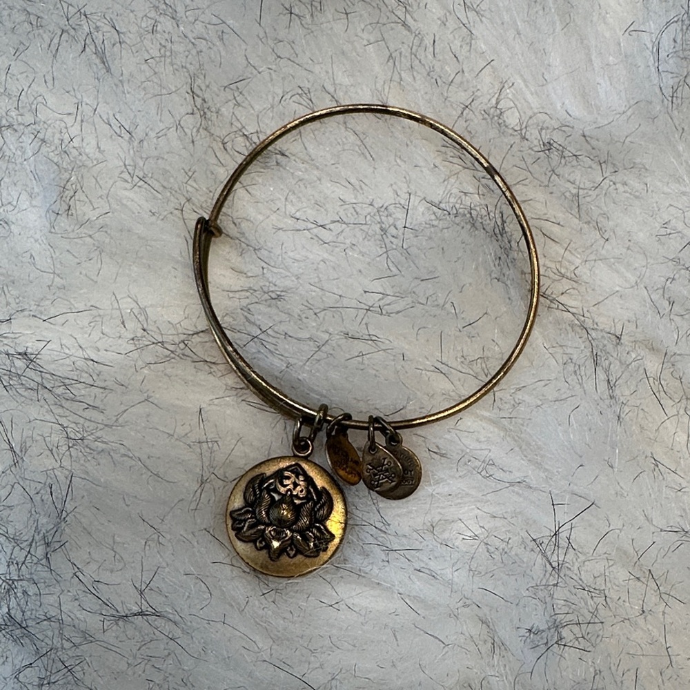 Alex and Ani Gold Charm Bangle Bracelet